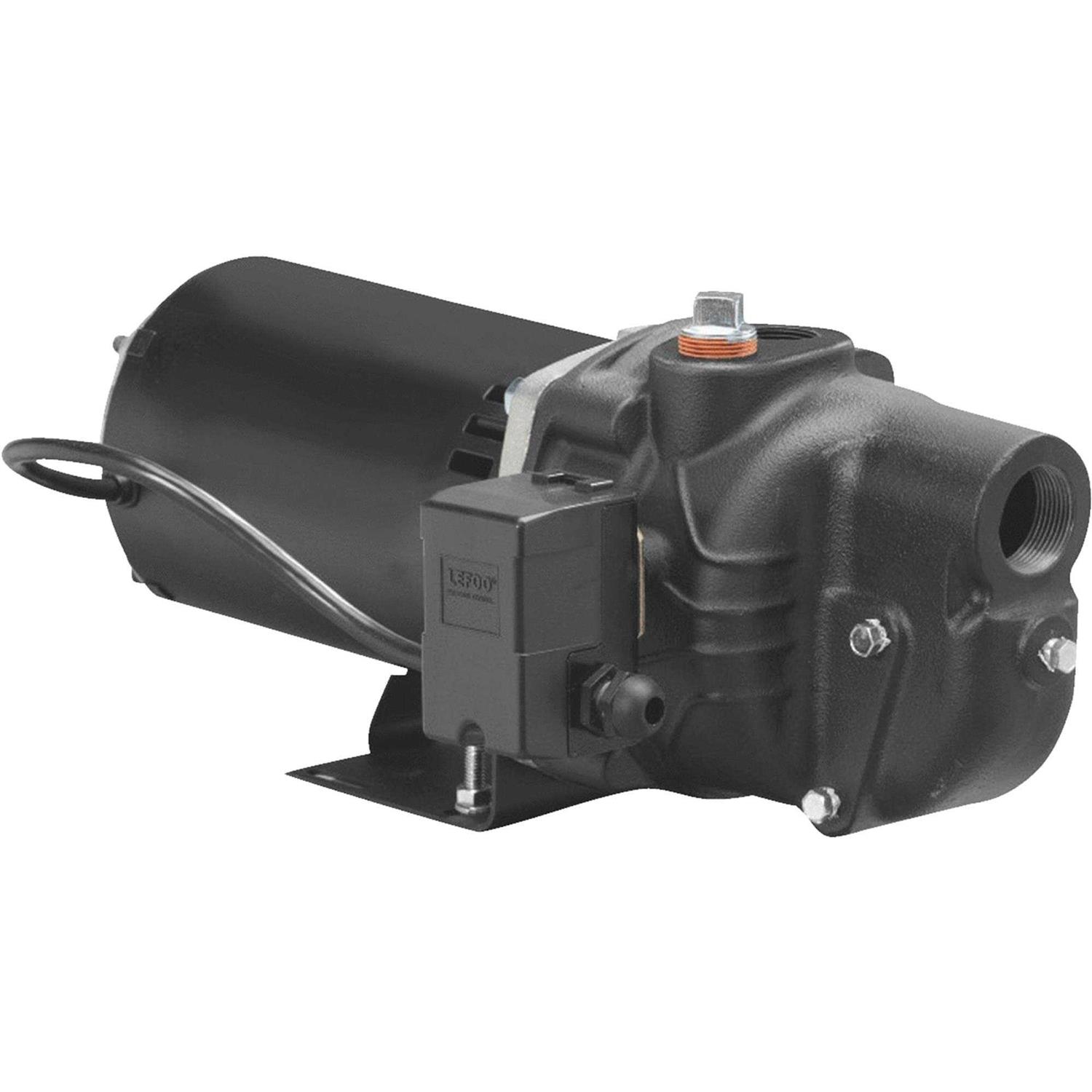 Wayne SWS100 1 HP Cast Iron Shallow Well Jet Pump - Inhomebuy