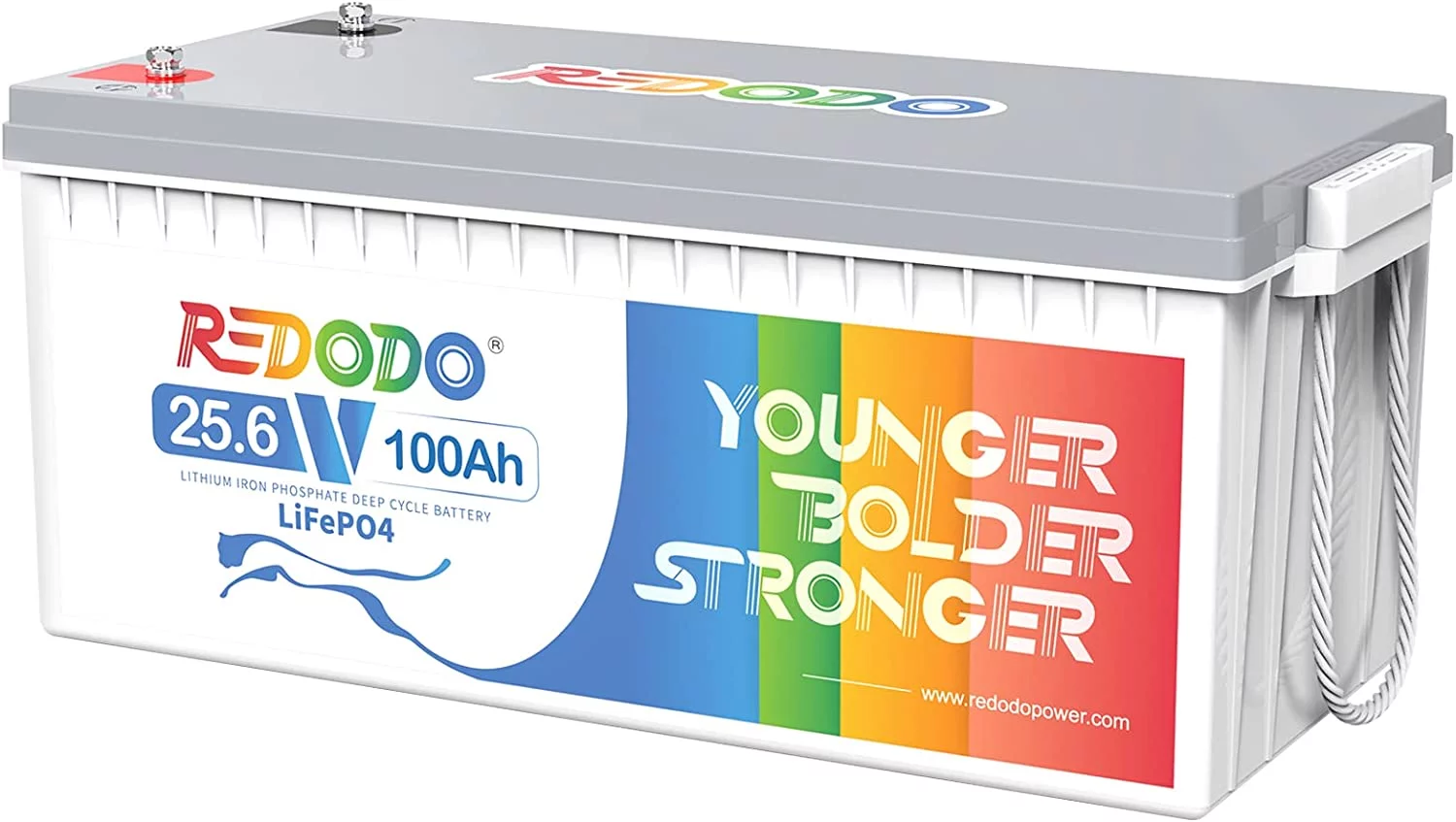 Redodo 24V 100Ah LiFePO4 Lithium Battery Max. 2560W Power Output Built in 100A BMS for RV, Trolling Motor, Solar off-Grid System, Marine - Inhomebuy