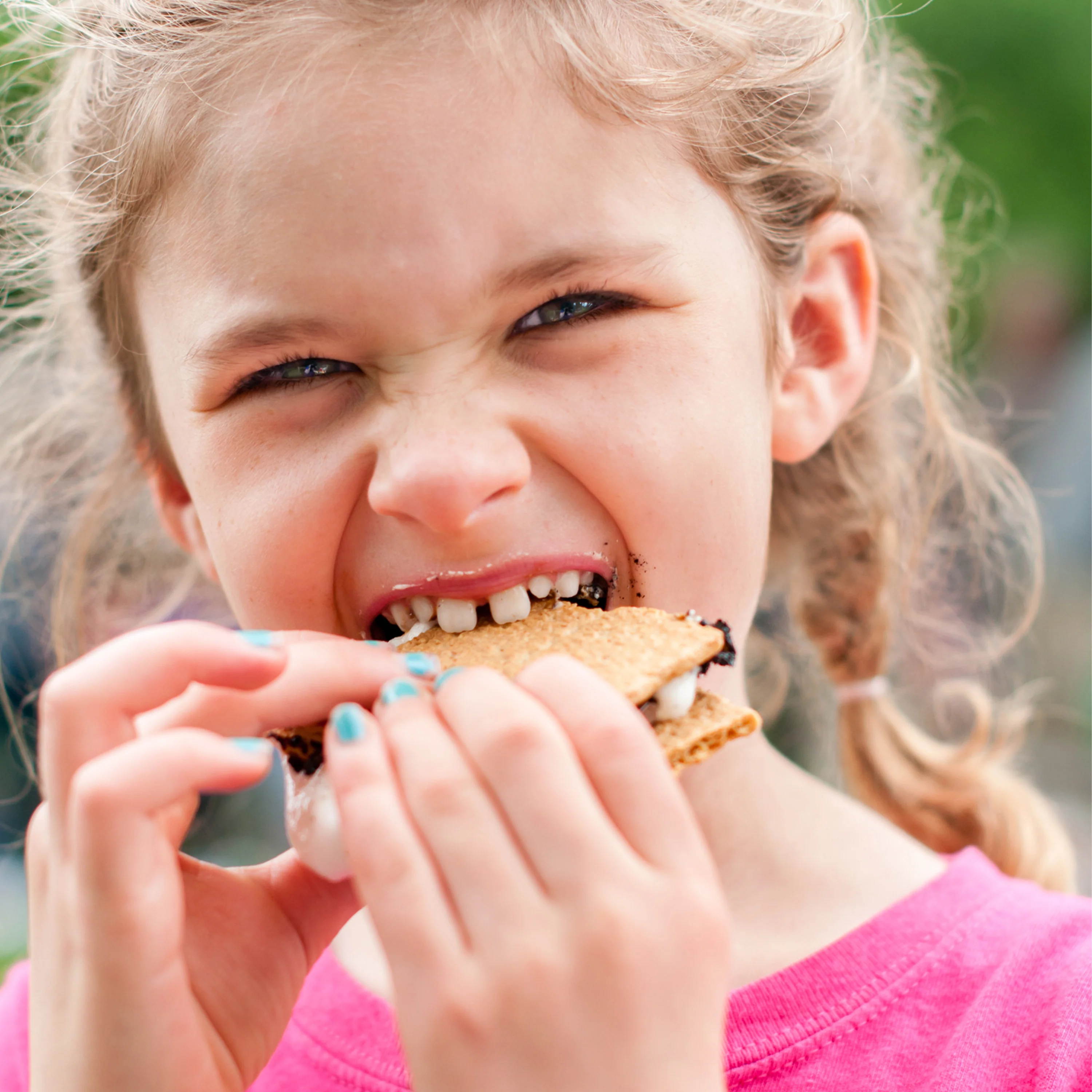 MyMini Electric S'mores Maker - Inhomebuy