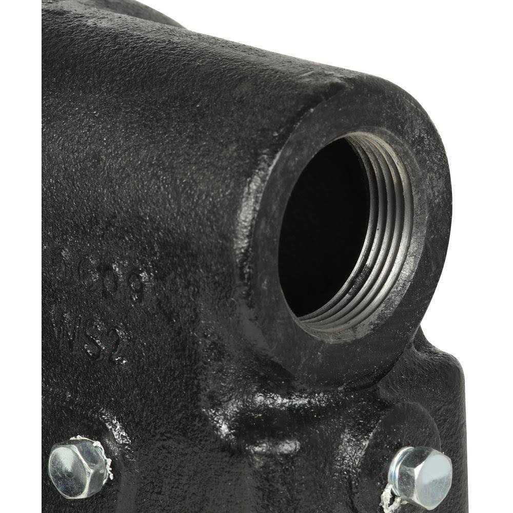 Wayne SWS100 1 HP Cast Iron Shallow Well Jet Pump - Inhomebuy