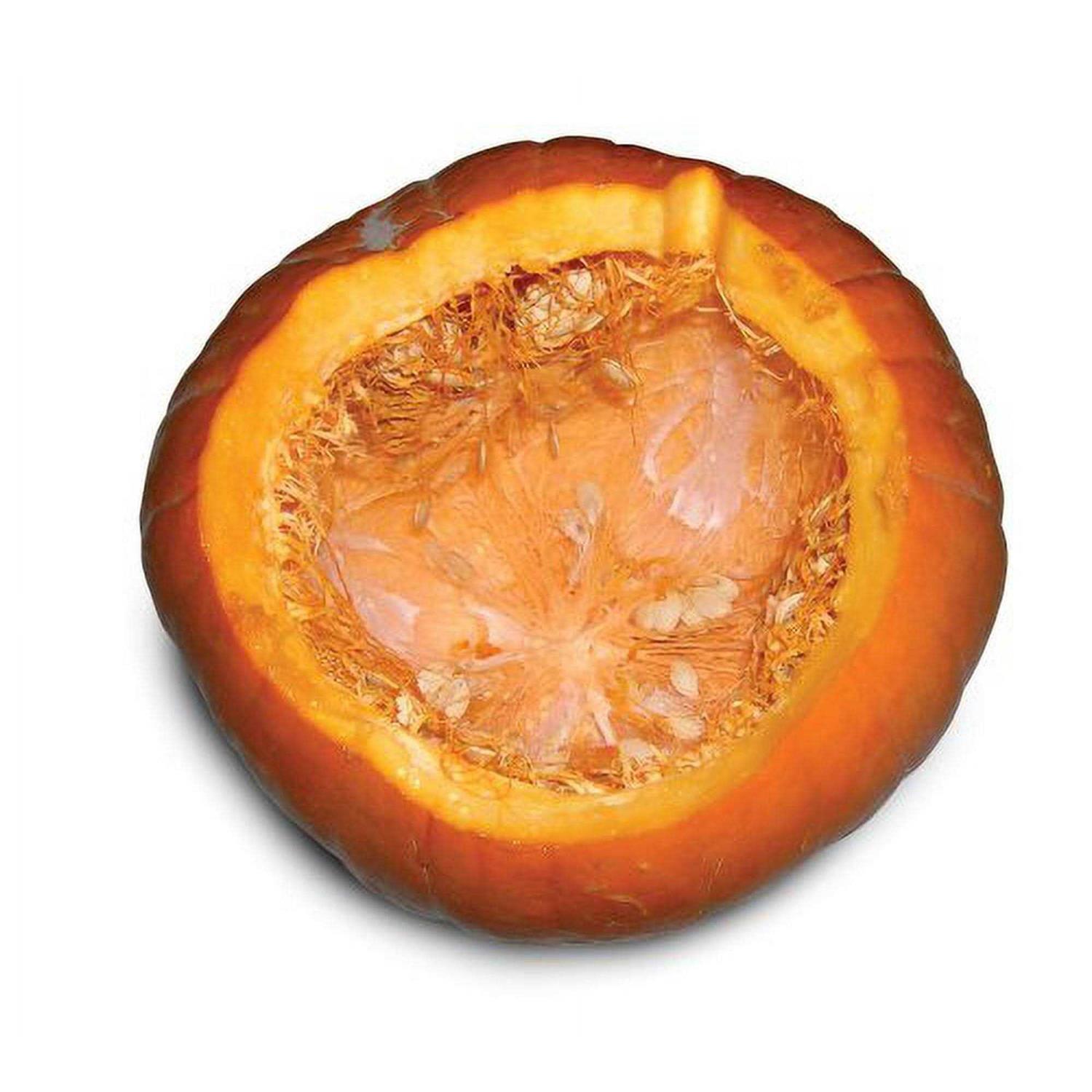 Dakota Products Pg001 Pumpkin Gutter & Carving Tool - Inhomebuy