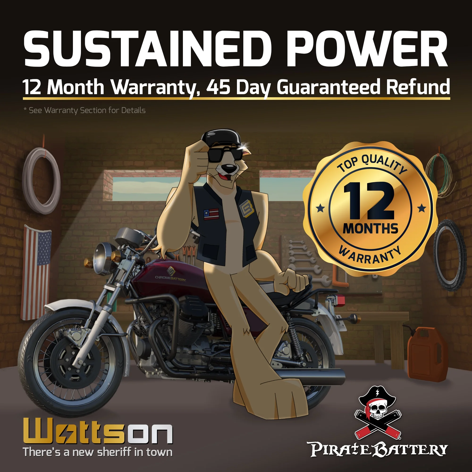 Pirate Battery Ytx9-Bs High Performance - Maintenance Free - Sealed Agm Motorcycle Battery - Inhomebuy