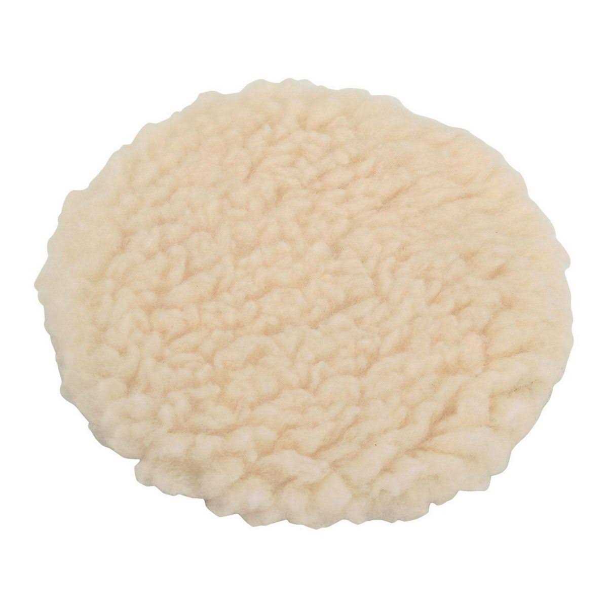 Warrior 5 in. Polishing/Sanding Set - Inhomebuy