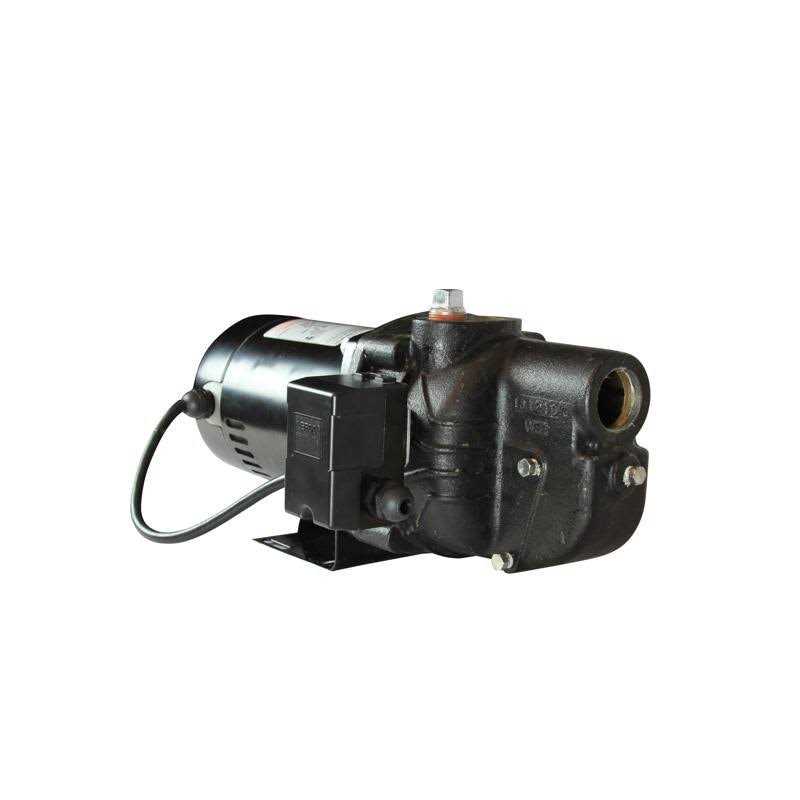 Wayne SWS100 1 HP Cast Iron Shallow Well Jet Pump - Inhomebuy