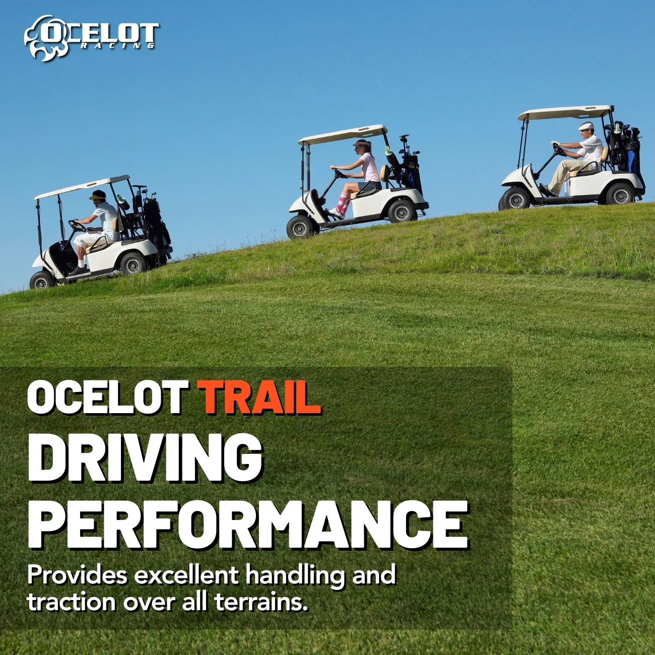 23 x 10 - 12 Ocelot Trail Golf Cart Tire - Inhomebuy