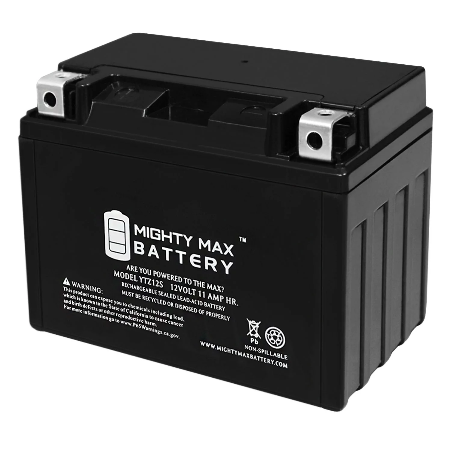 YTZ12S -12 Volt 11 AH, 210 CCA, Rechargeable Maintenance Free SLA AGM Motorcycle Battery - Inhomebuy
