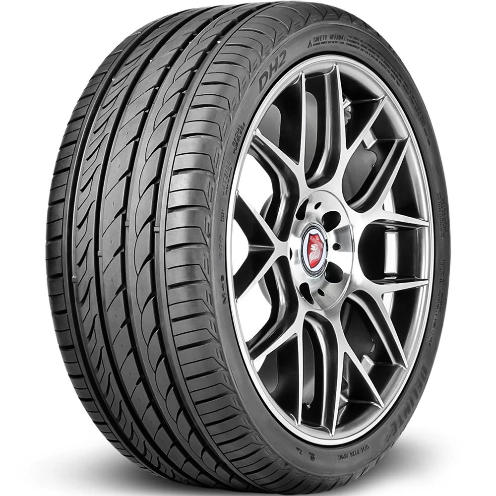 Delinte DH2 225/50R17 ZR 98W XL All Season High Performance Tire - Inhomebuy