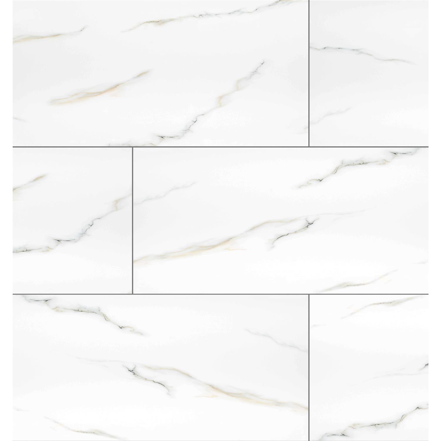 MSI Aria Bianco 24 in. Polished Porcelain Floor and Wall Tile - Inhomebuy