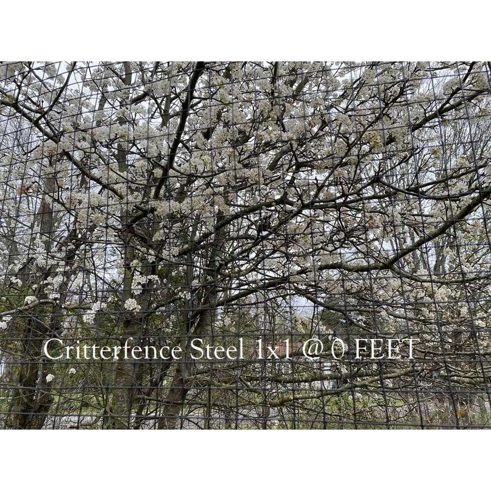 Critterfence 100 ft. Black Steel 1 x 1 Square Grid Fence - Inhomebuy