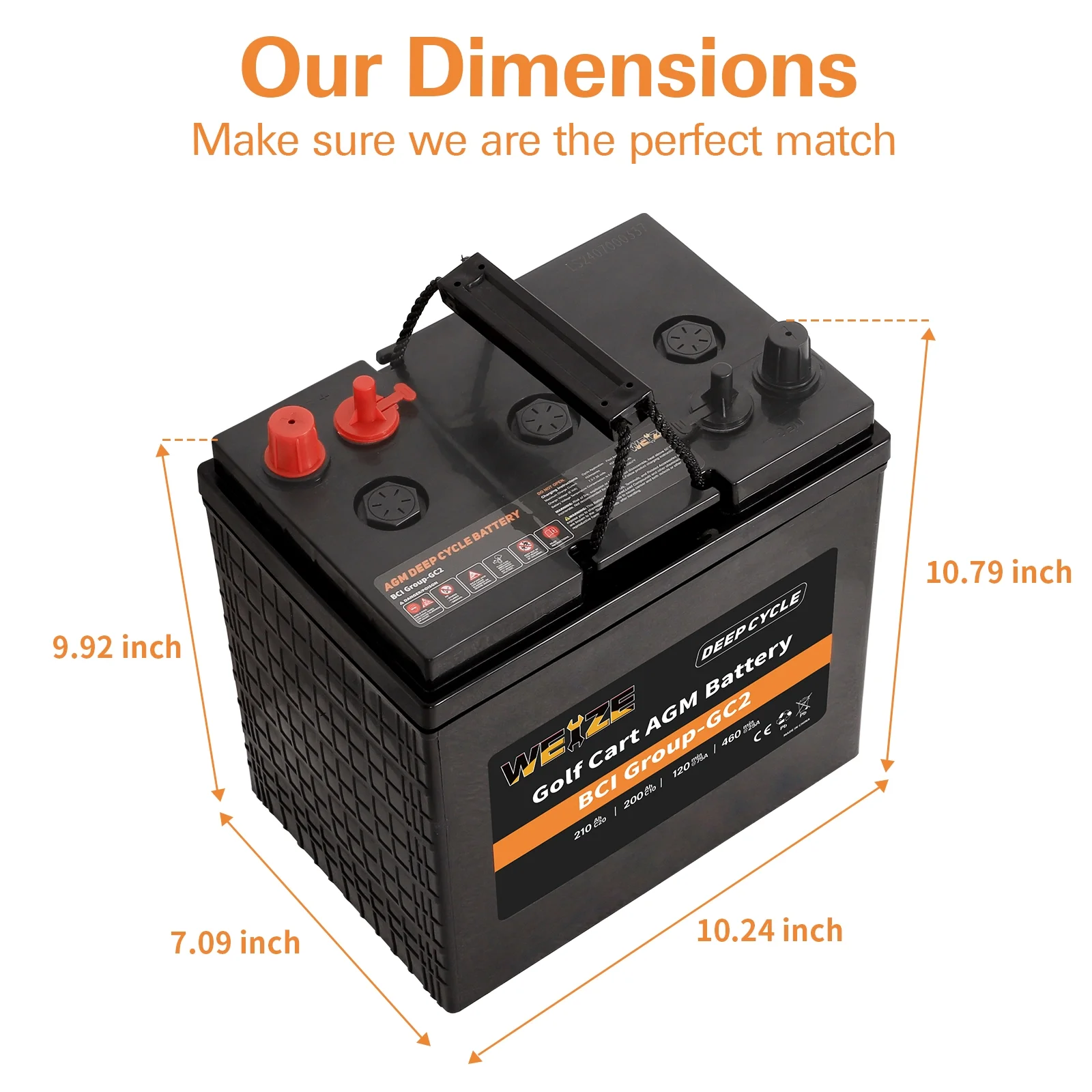 Weize Golf Cart Battery, 6V 210ah BCI Group GC2 Deep Cycle AGM Scrubber Battery - Inhomebuy
