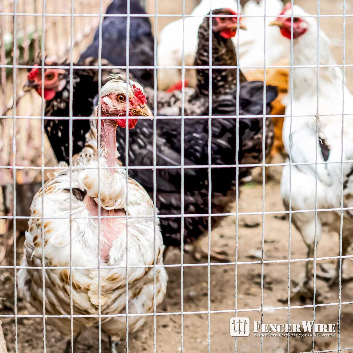 Fencer Wire 1/4 in. x 23-Gauge Hardware Cloth - Inhomebuy