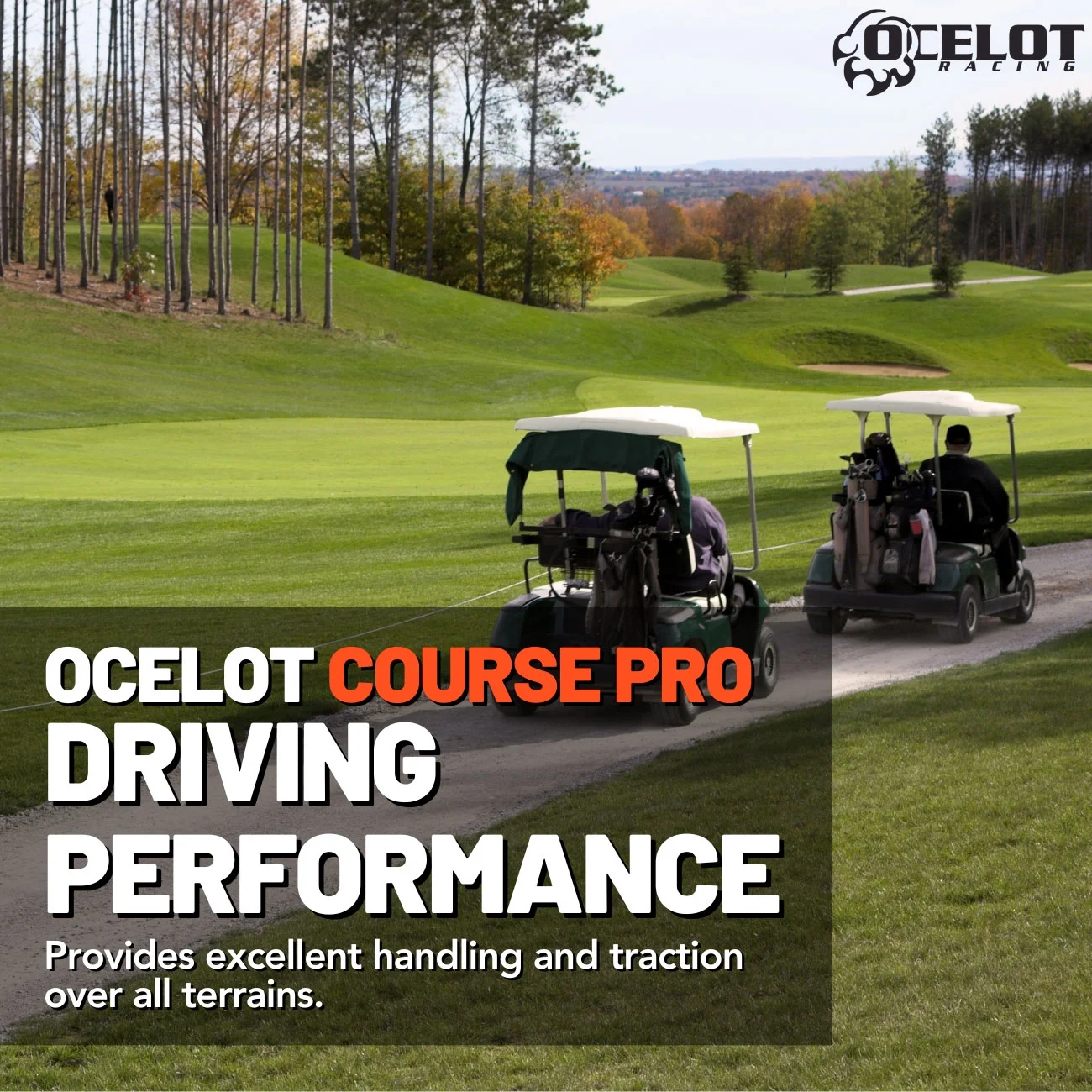 205/30-12 Ocelot Course Pro Golf Cart Tire - Inhomebuy