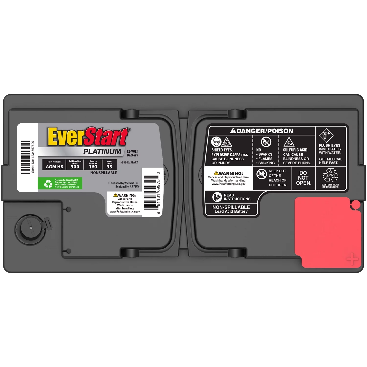 EverStart Platinum BOXED AGM Battery, Group Size H8 / LN5 / 49 12 Volt, 900 CCA - Inhomebuy
