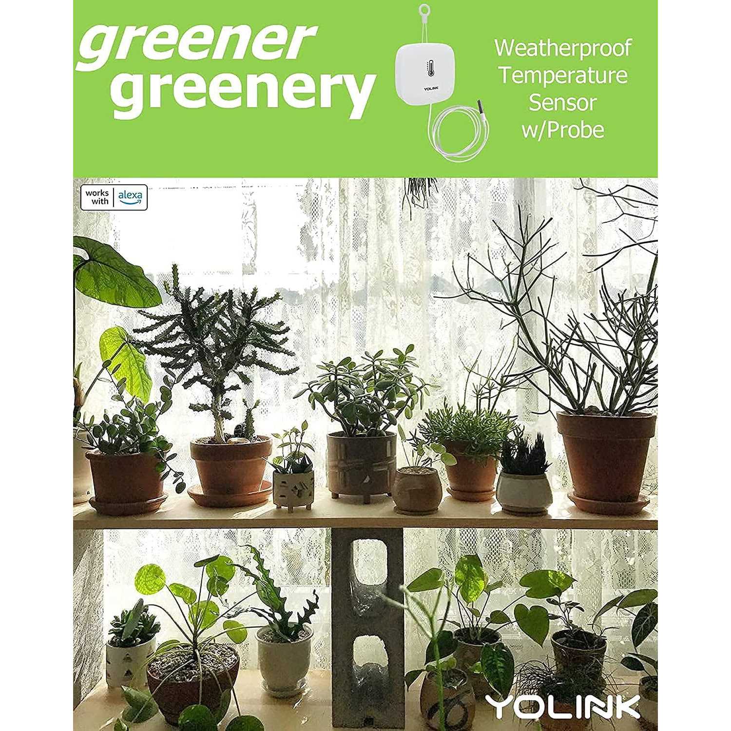 YOFE Brown Acacia Wood 3/4 in. T x 12 in. W Solid Hardwood Flooring Interlocking Deck Tiles - Inhomebuy