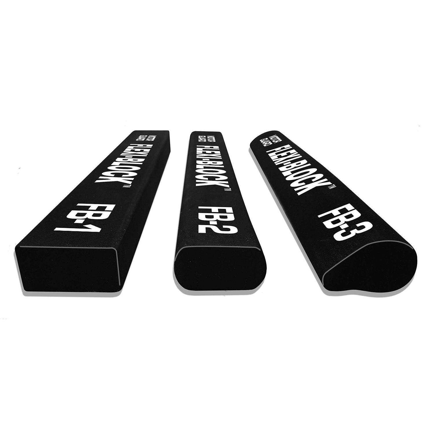 Motor Century 1.5HP 115/230V B2854V1 - Inhomebuy