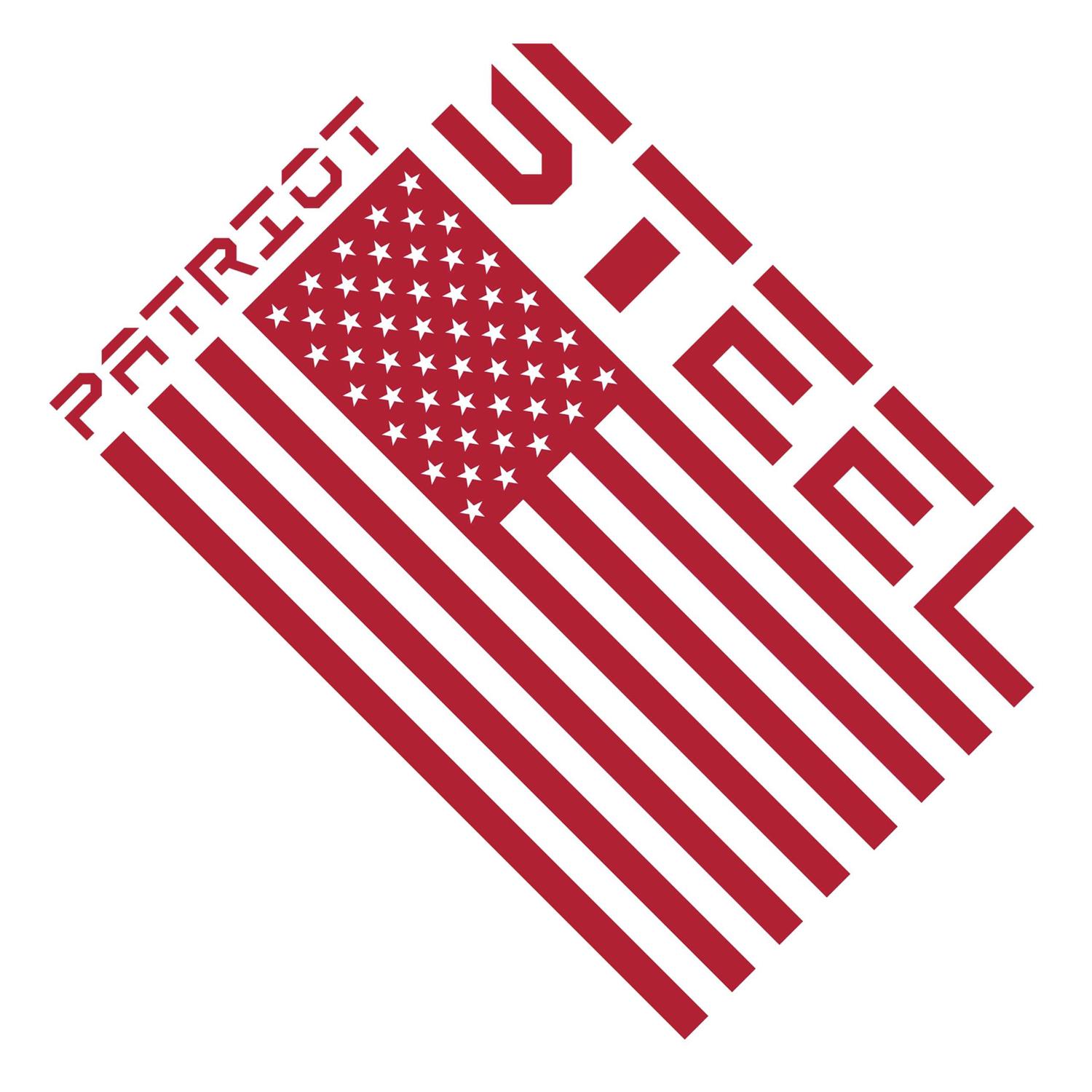 Patriot Fence Energizer PE2 - Inhomebuy