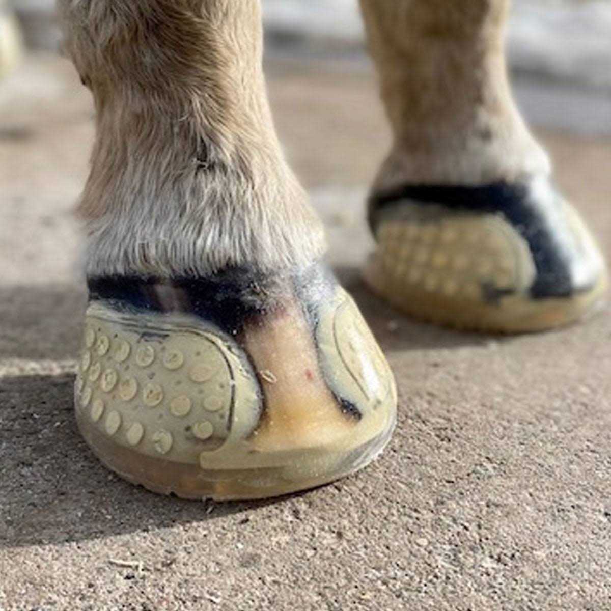 EasyPro Submersible Pump Screens - Inhomebuy