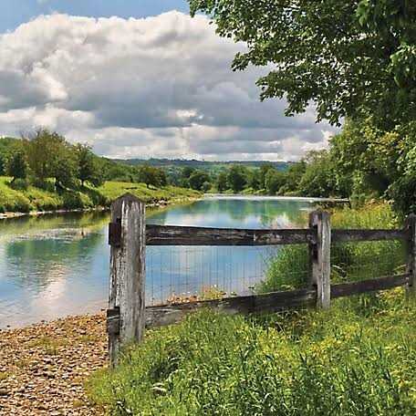 YardGard Chain Link Post Hinge - Inhomebuy