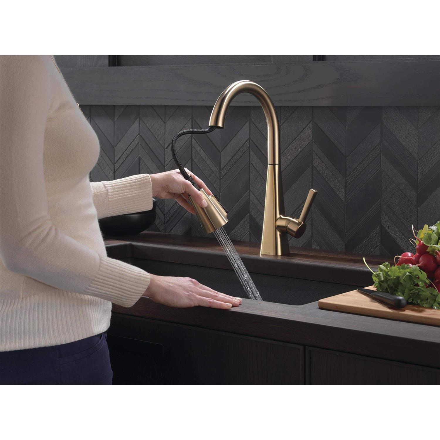 Delta Lenta Single-Handle Pull-Down Kitchen Faucet 19802Z - Inhomebuy