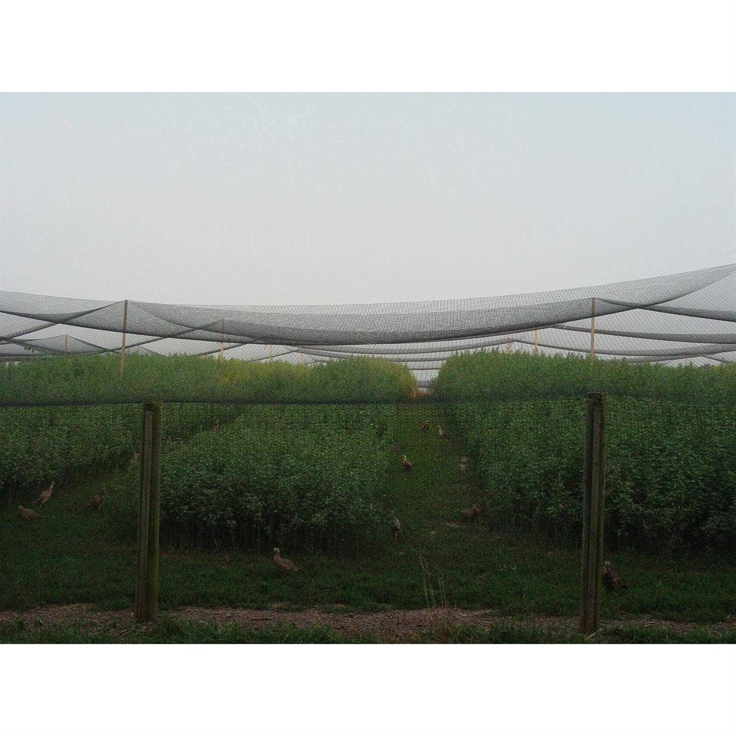 Excursions Heavy Knotted 1 Aviary Poultry Net Netting - Inhomebuy