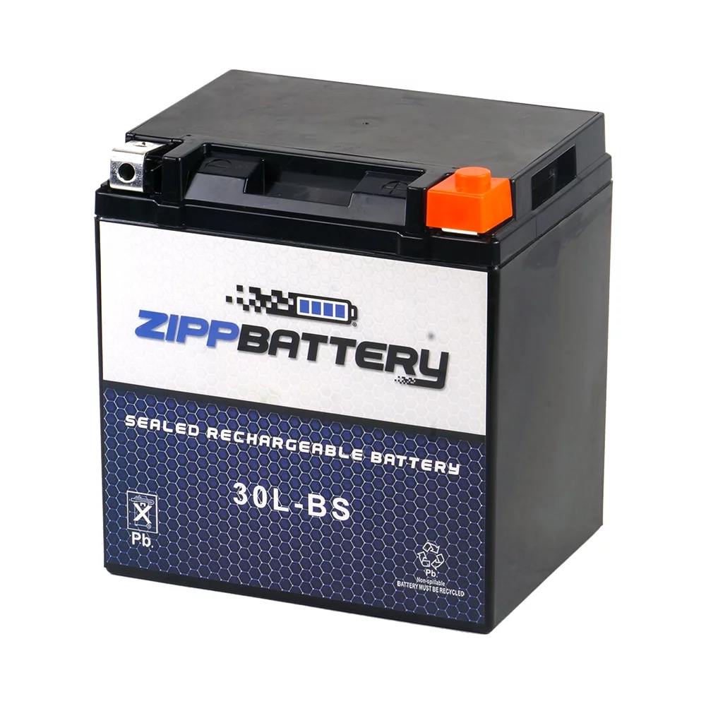 Zipp Battery Ytx30L-Bs Motorcycle Battery for Moto Guzzi Stone, Ev - Inhomebuy