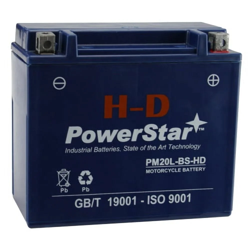 PowerStar Motorcycle Battery; RG20L-BS; Harley 2000 Dyna Wide Glide; Part# 65989-97A/B/C, ES20LBS, BTX20L-BS, YTX20L-BS - Inhomebuy