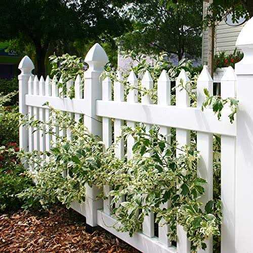 Nuvo Iron Louver System Black LSB48 - Inhomebuy