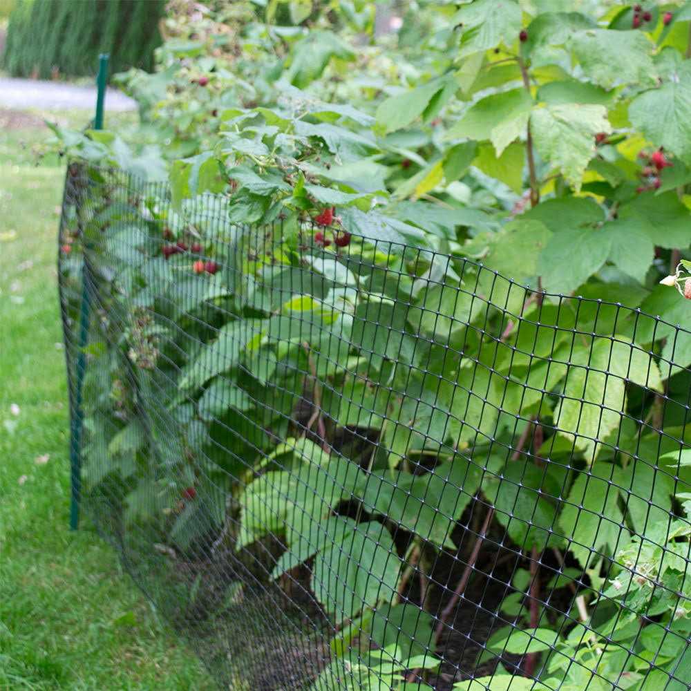 YardGard 72 in. H 16 Gauge Metal Chain Link Fence Terminal Post - Inhomebuy