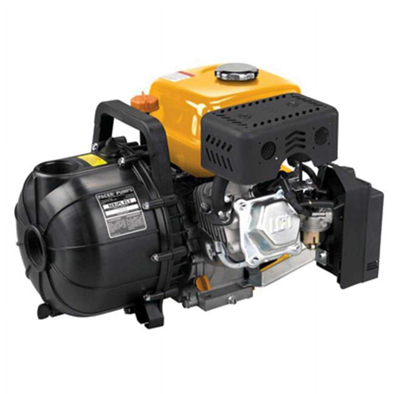 Pacer 5.5hp Transfer Pump - Inhomebuy