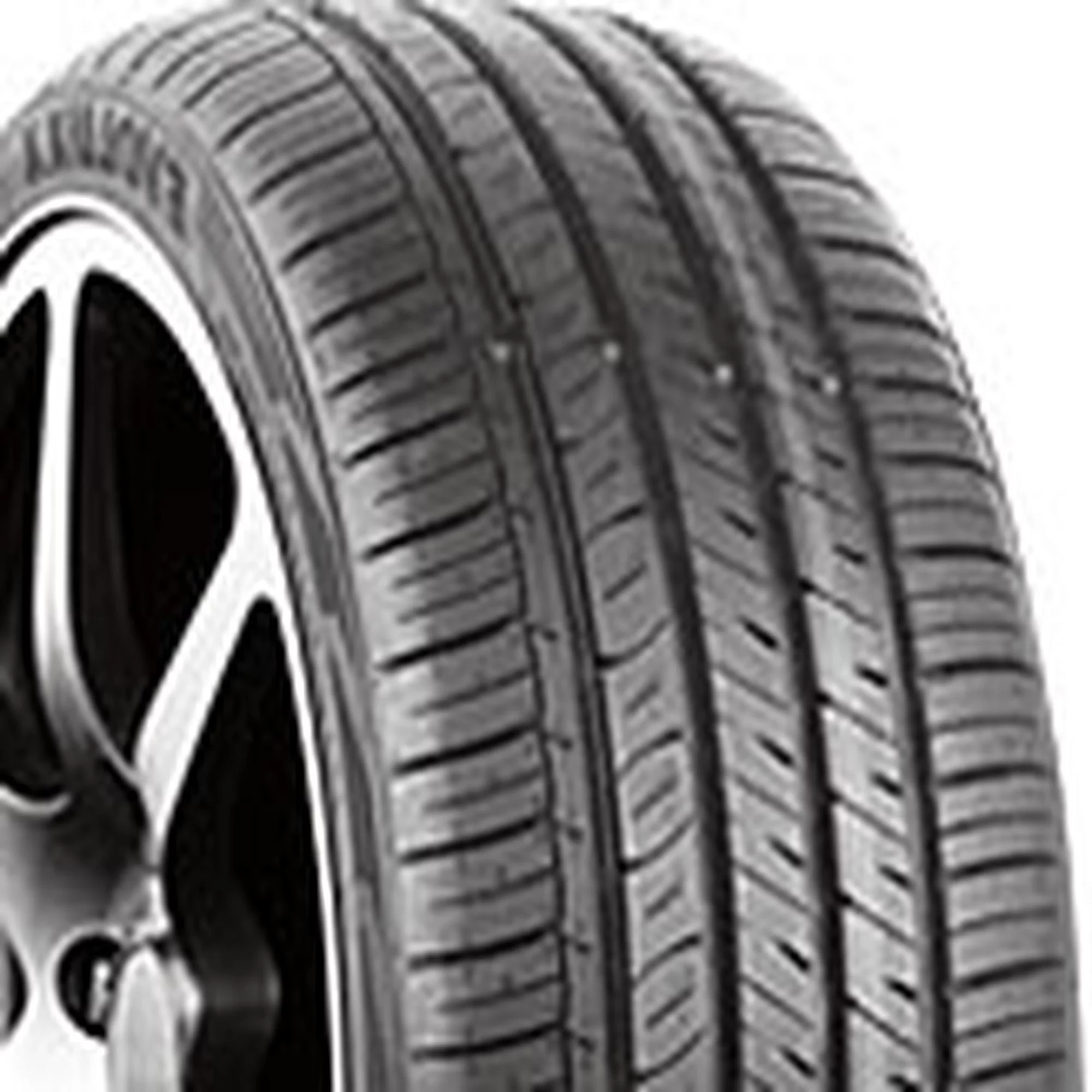 Evoluxx Capricorn UHP UHP 235/30R22 90W Passenger Tire - Inhomebuy