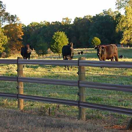 White Lightning 1320 ft. 12.5-Gauge Safety Coated High Tensile Electric Fence Wire - Inhomebuy