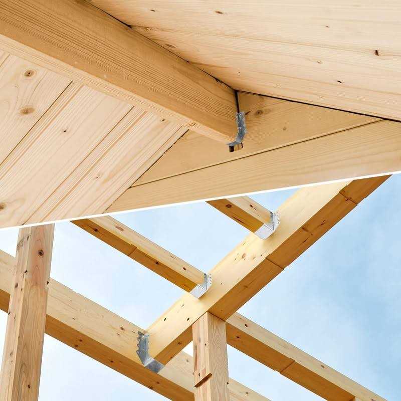 Luigi’s Water & Fuel Transfer Pump Siphon Large Squeezing Gas Siphon for Lawn Mowers & Manual Pumping Petrol, Water Syphon, Alcohol and more - Inhomebuy