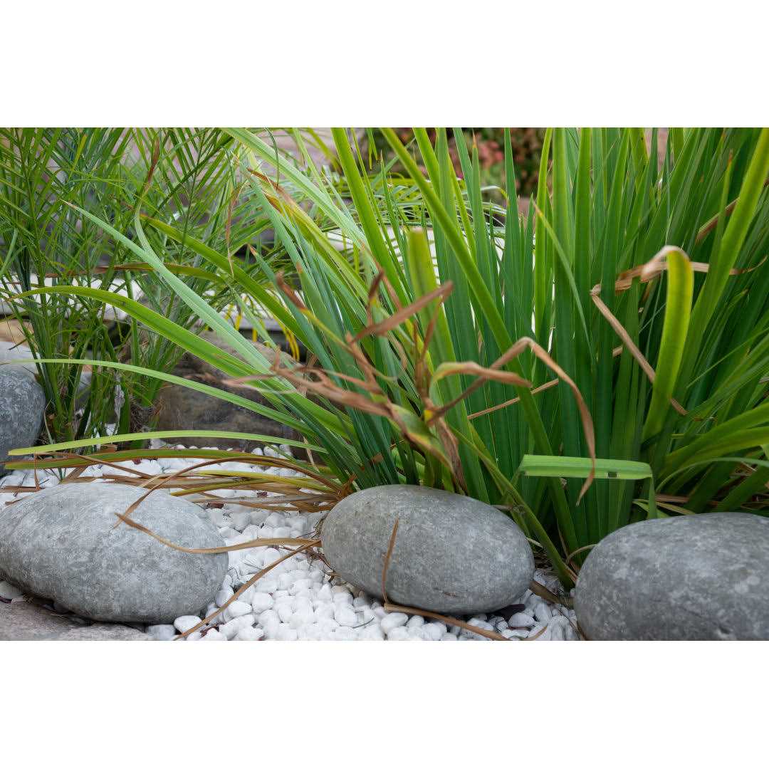 MSI Blue Pearl 12 in. x 12 in. Polished Granite Wall Tile - Inhomebuy