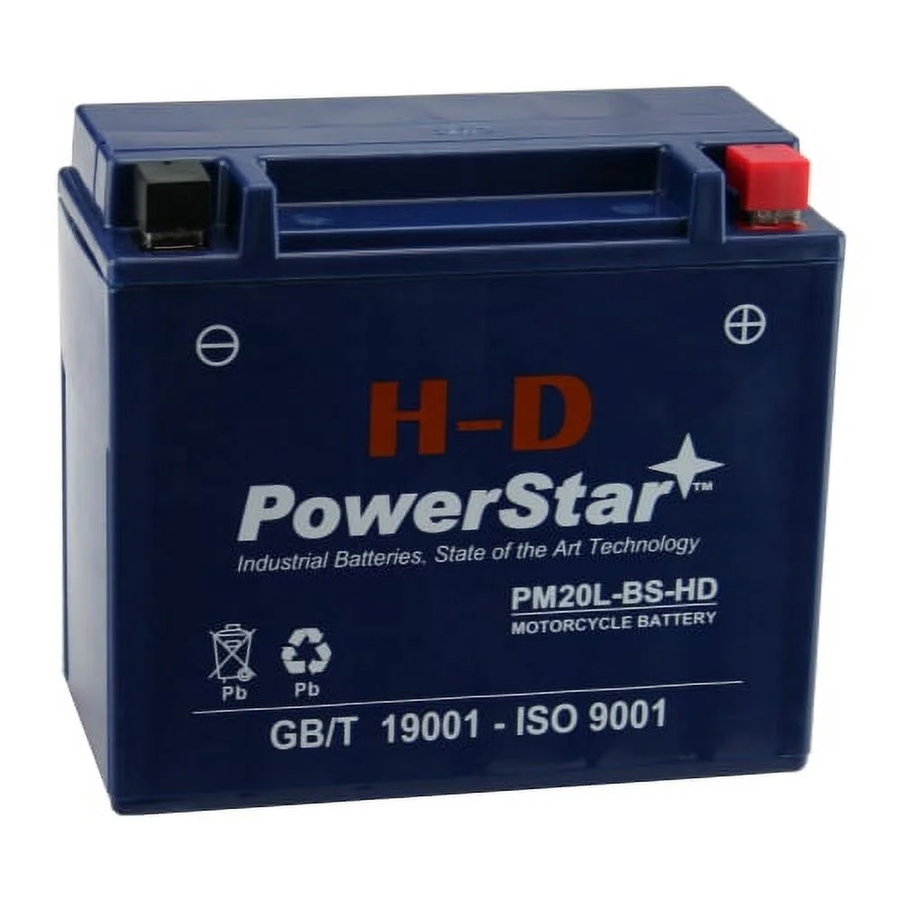 PowerStar Motorcycle Battery; RG20L-BS; Harley 2000 Dyna Wide Glide; Part# 65989-97A/B/C, ES20LBS, BTX20L-BS, YTX20L-BS - Inhomebuy