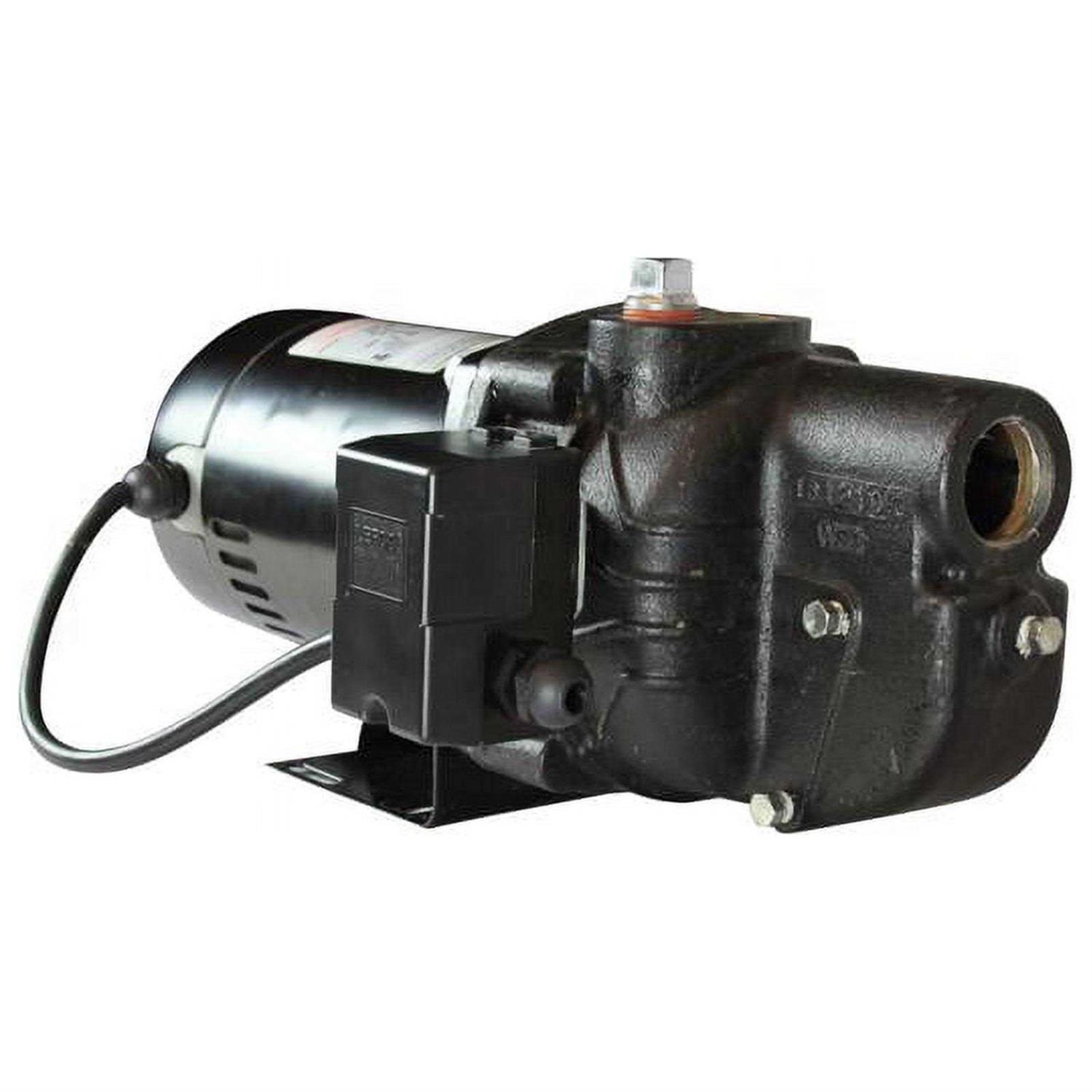 Wayne PC4 1/2 HP Cast Iron Transfer Pump - Inhomebuy