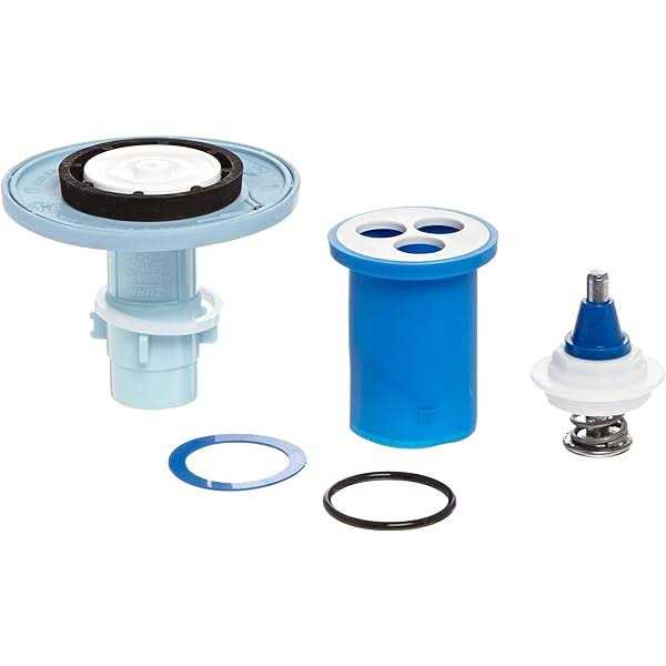 Zurn P6000-EC13 Trip Mechanism/Relief Valve - Inhomebuy