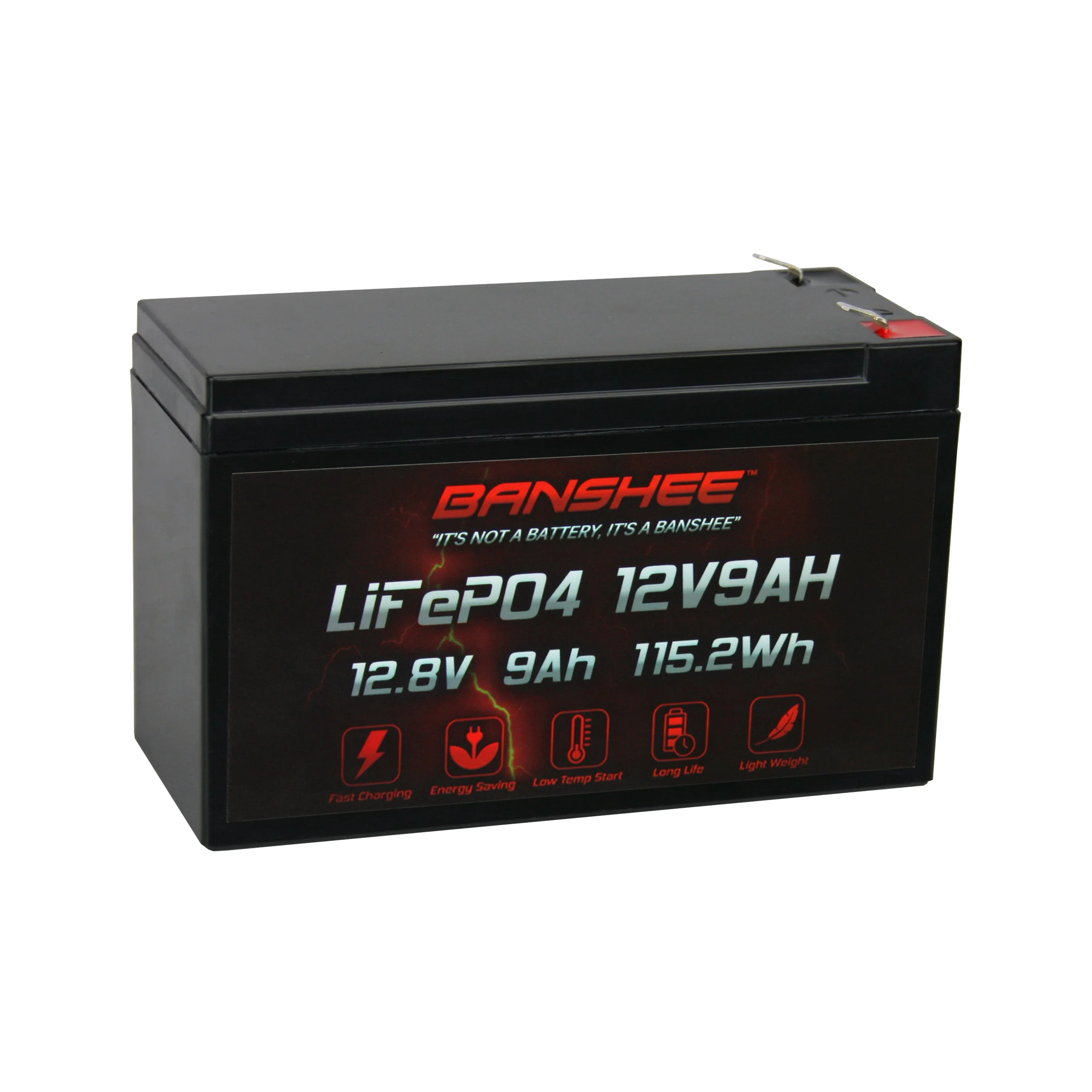 12 Volt 9AH Deep Cycle Rechargeable Lithium ion Battery Perfect for Replace UPS System Fish Finder Battery Maintenance-Free Built in BMS - Inhomebuy