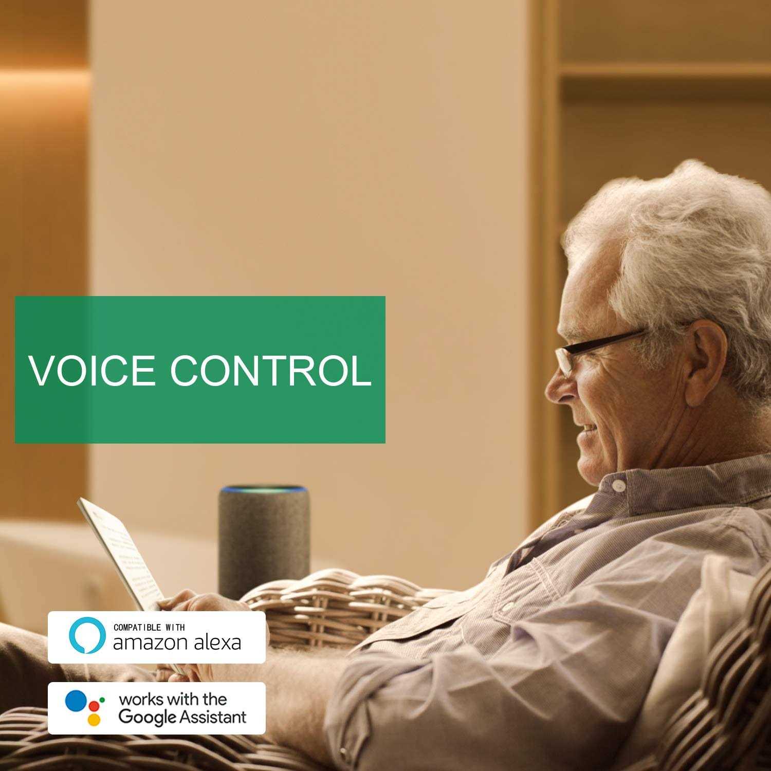 Zibra Triangle Paint Brush PB125LZT - Inhomebuy