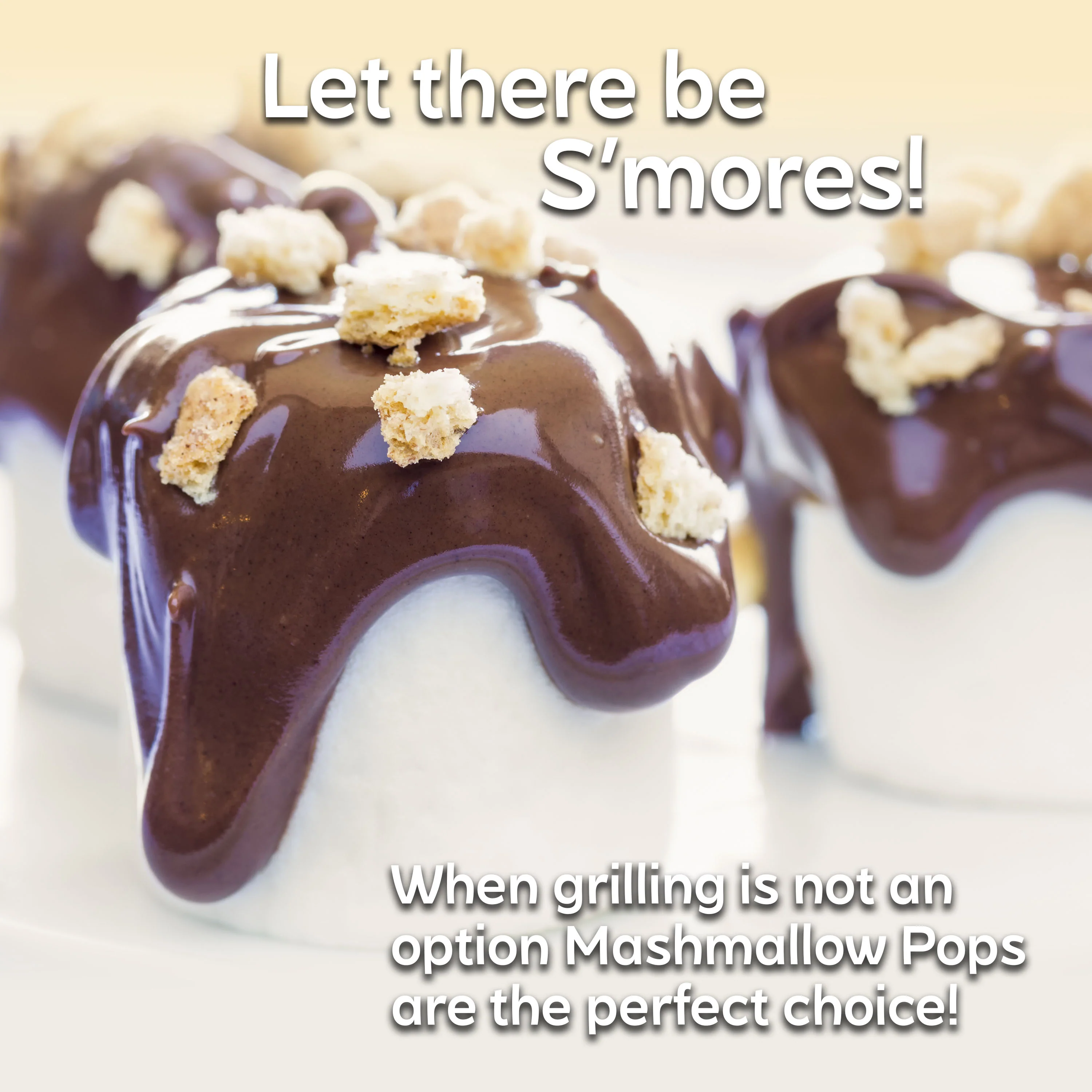 Jet-Puffed Marshmallow Dipper and Decorating Set - Inhomebuy