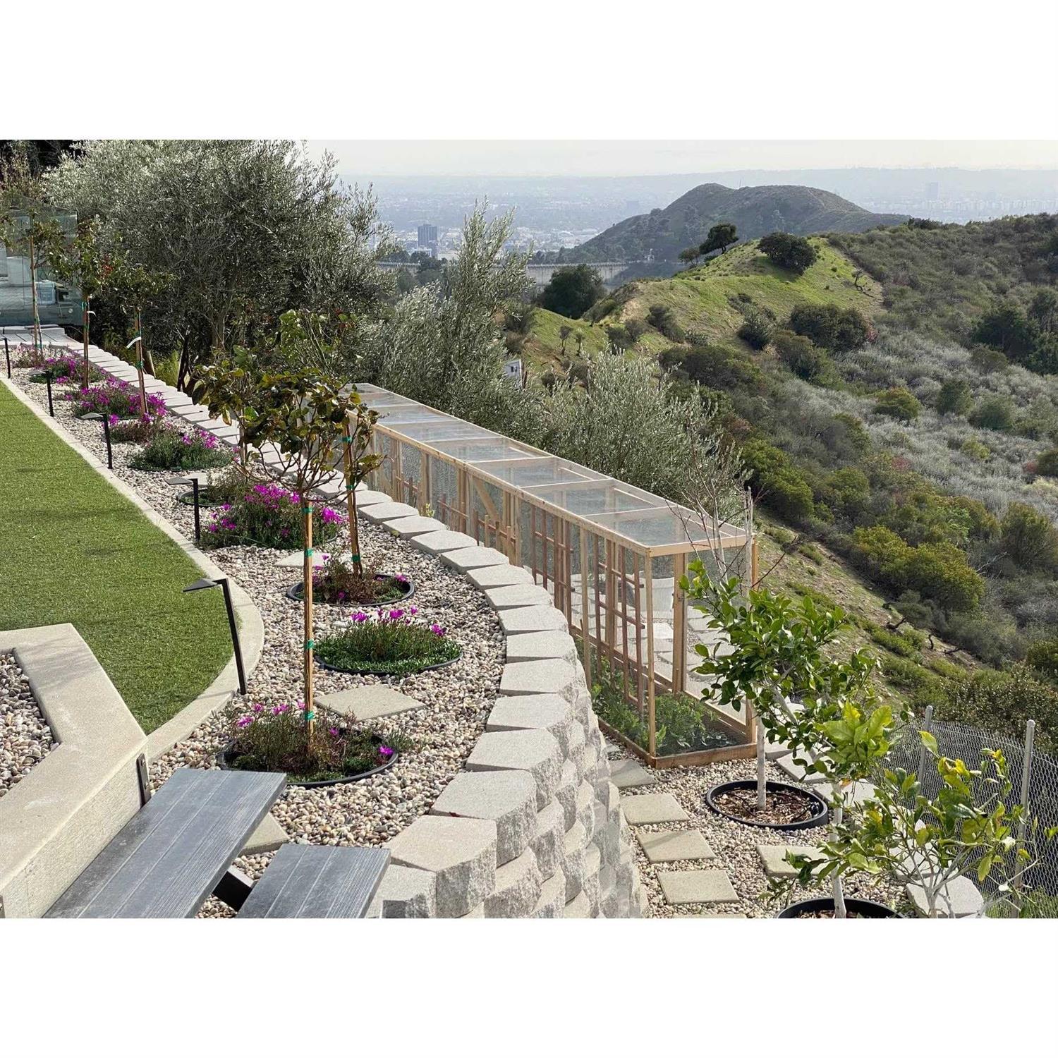 Waterrounds Planting Rings. Landscape Garden Protective - Inhomebuy