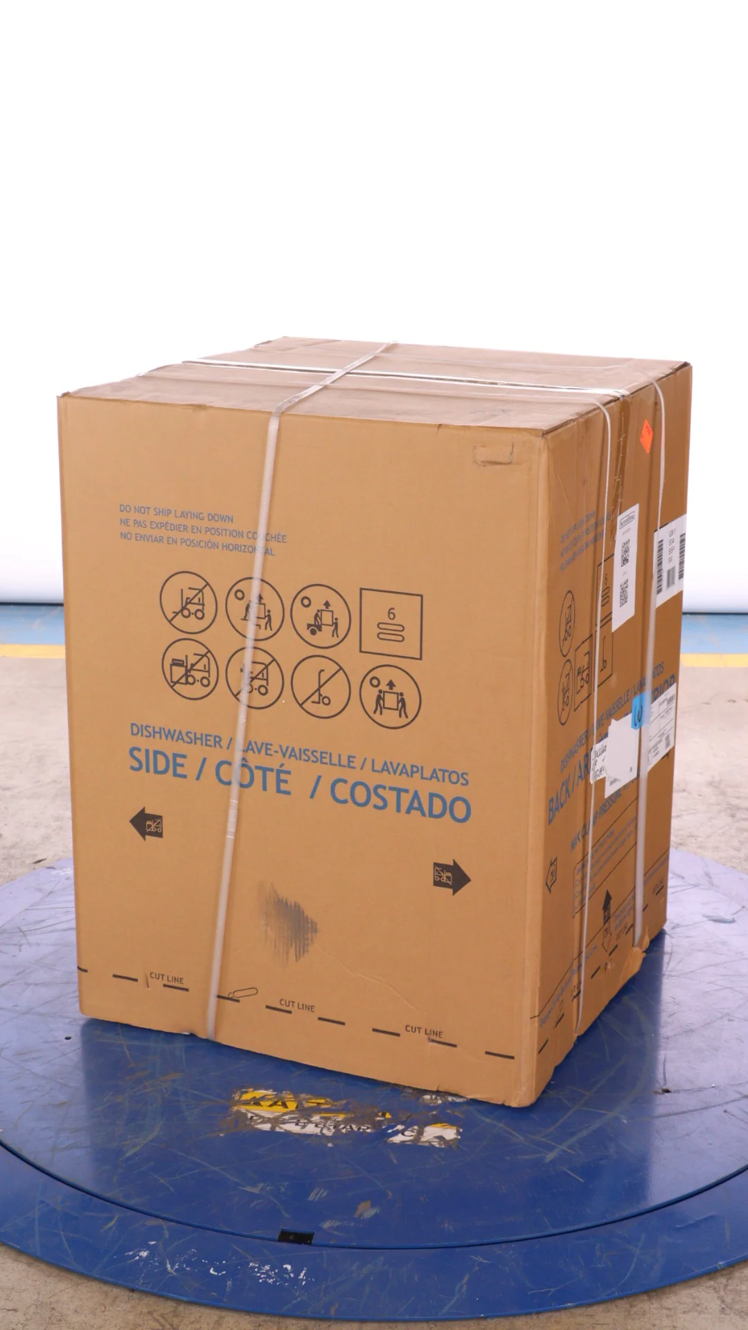 GE 24 IN. STAINLESS STEEL BUILT-IN TOP CONTROL DISHWASHER WITH STAINLESS STEEL TUB - GBP534SSPSS - Inhomebuy