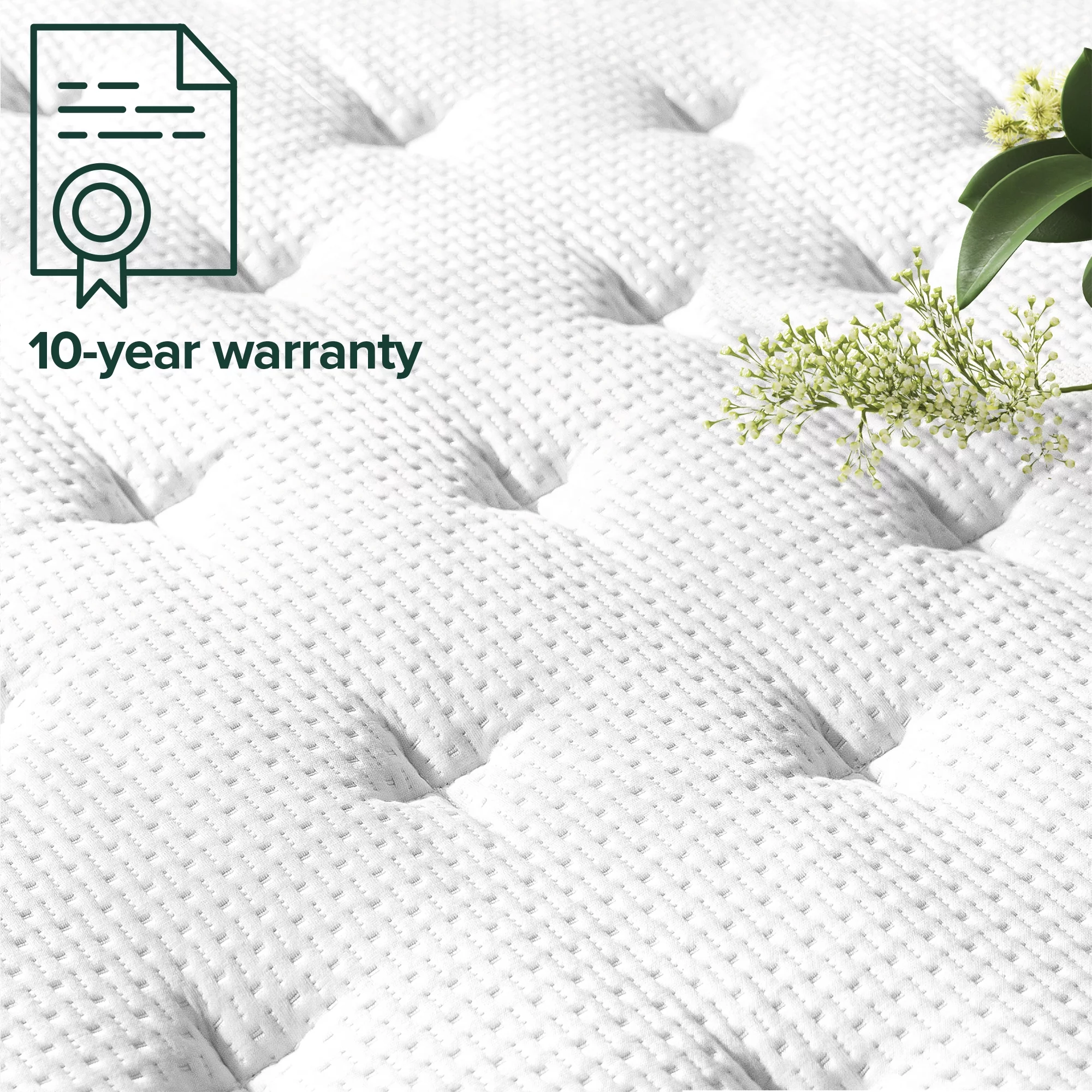 Zinus Support Plus 10