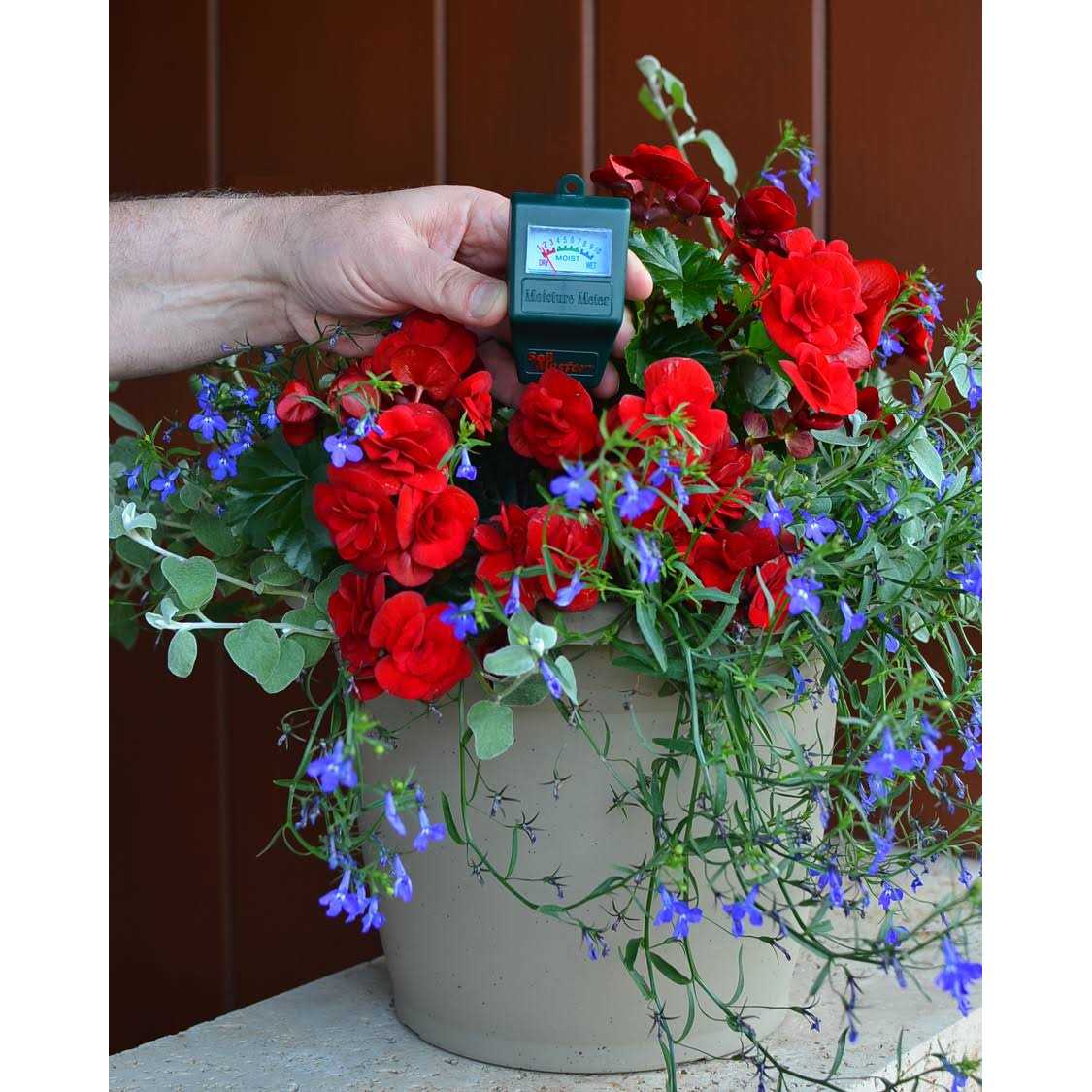 MosaicTileOutlet Translucent Gray Yellow Turquoise Glass Mosaic Tile - Inhomebuy