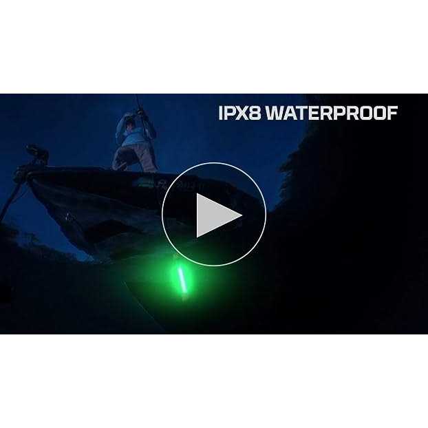 Nebo Submerser Fishing Light - Inhomebuy