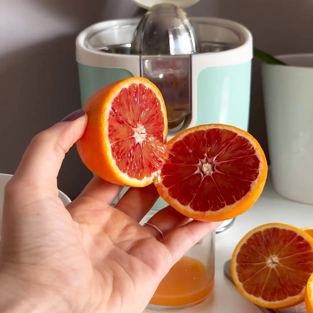 Vintage Electric Juicer Green 400W - Inhomebuy