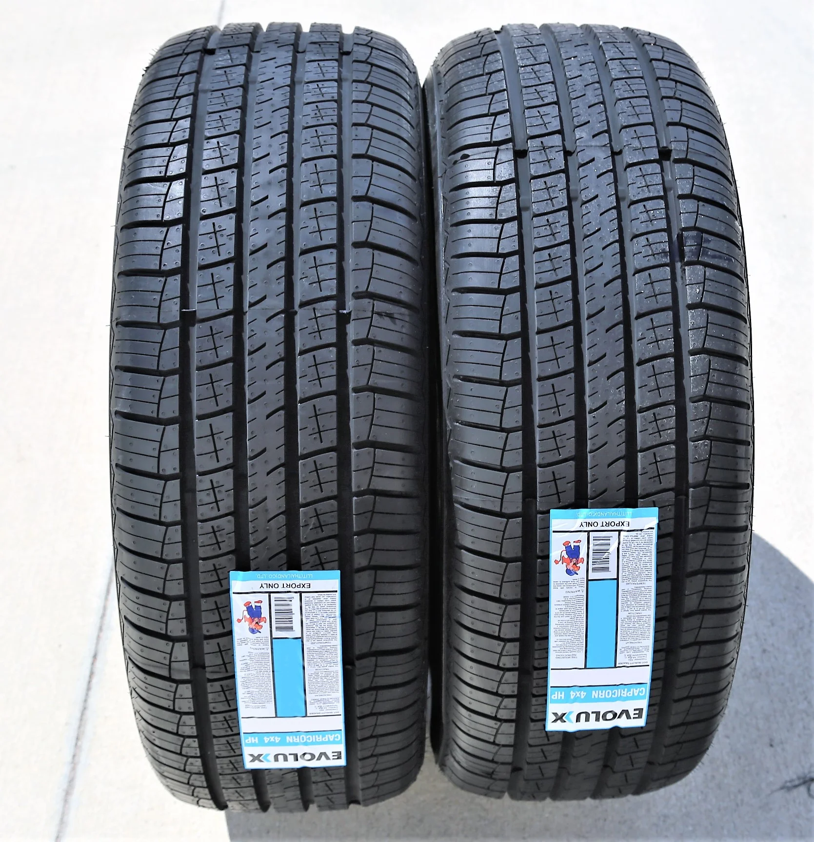 Tire Evoluxx Capricorn 4X4 HP 255/60R19 109H AS A/S Performance - Inhomebuy