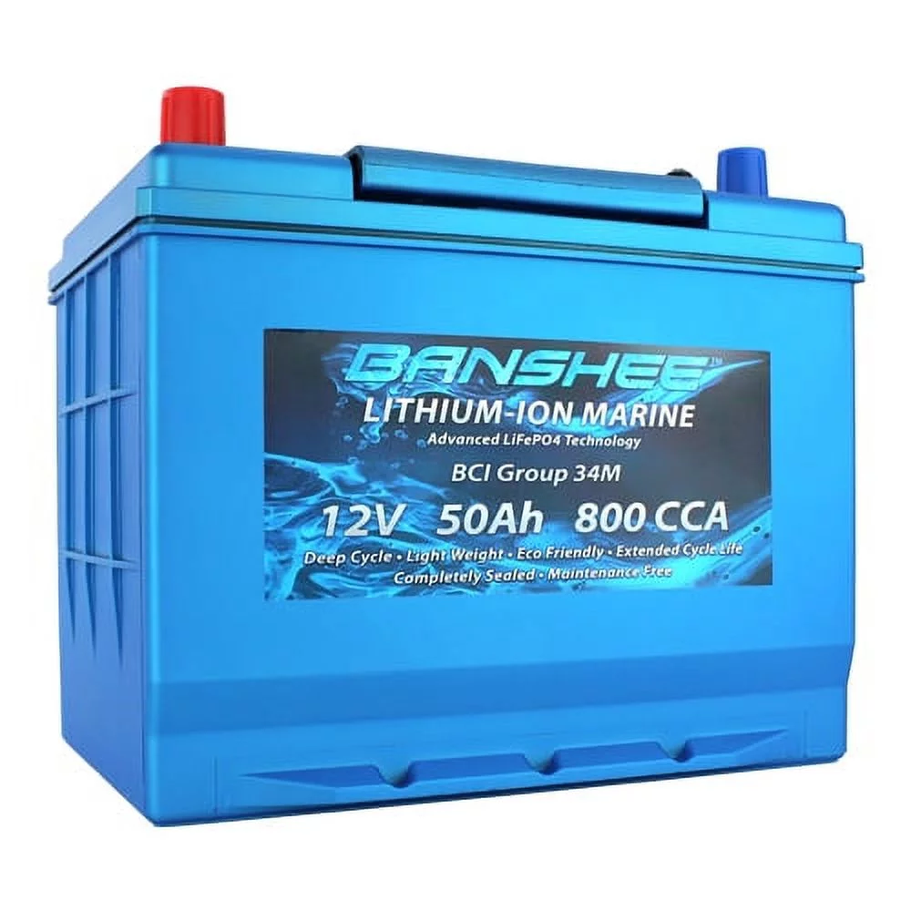 Deep Cycle Lithium-Ion RV Starting Battery Replaces 8006-006 SC34M 800CCA Group 34 - Inhomebuy