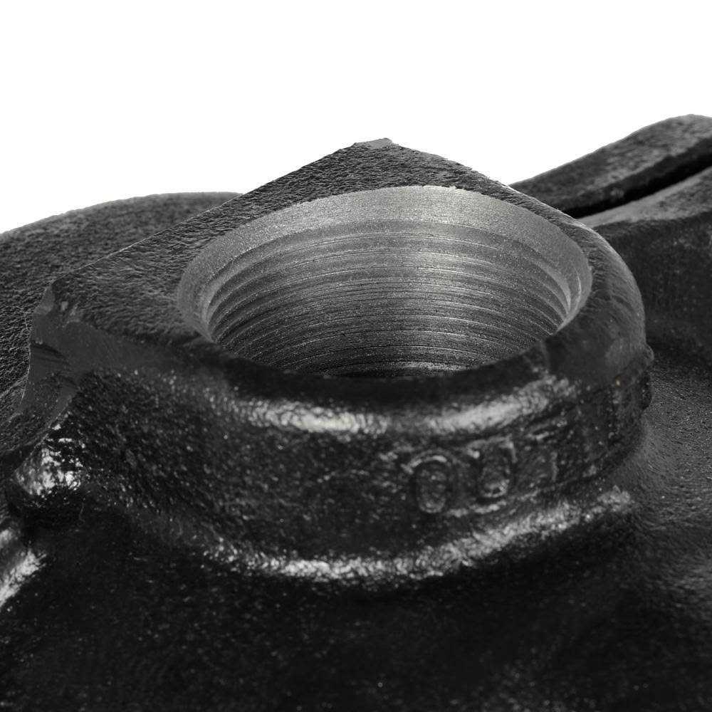 Wayne 1 HP Stainless Steel Portable Sprinkler Pump PLS100 - Inhomebuy