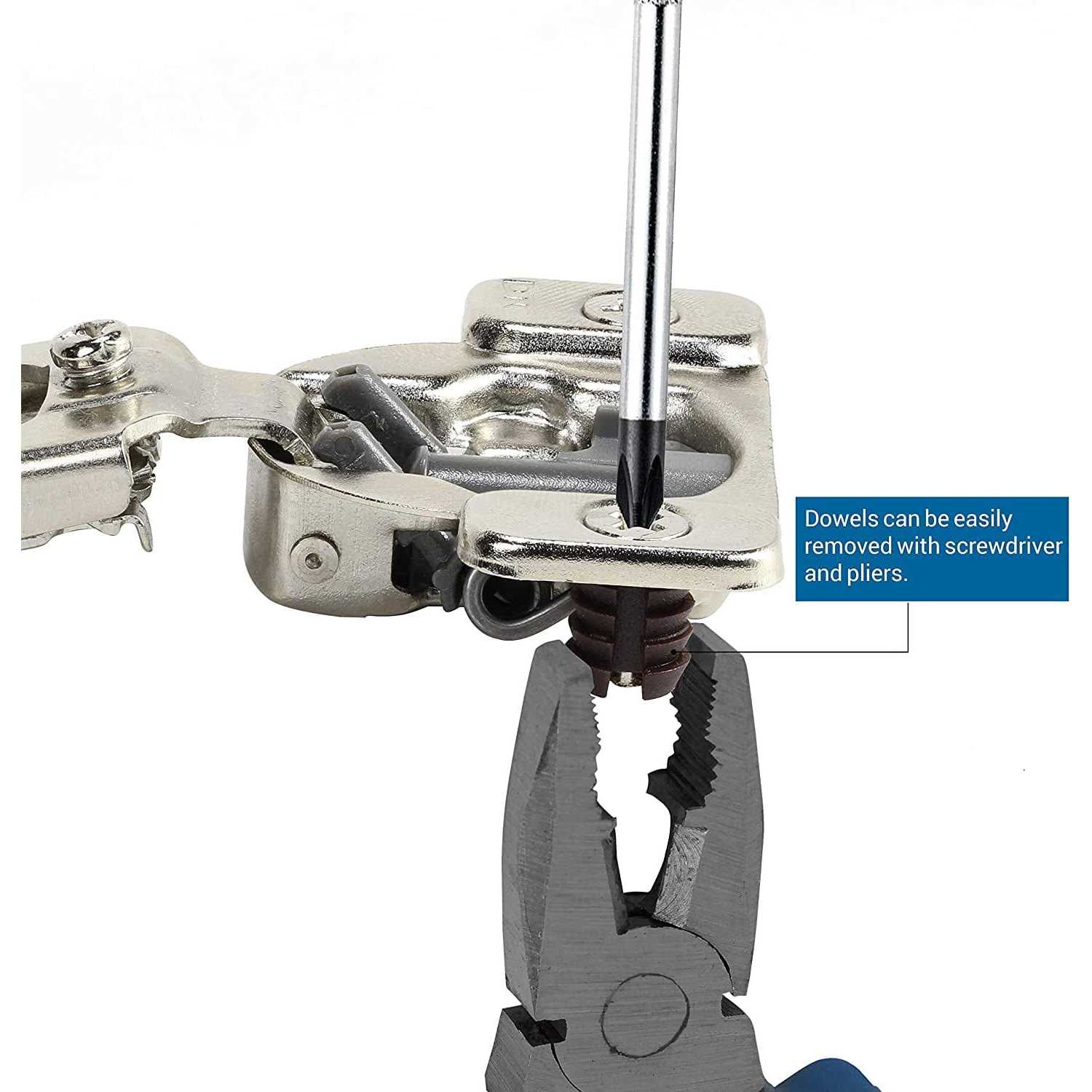 DT Swiss Star Ratchet Kit - Inhomebuy