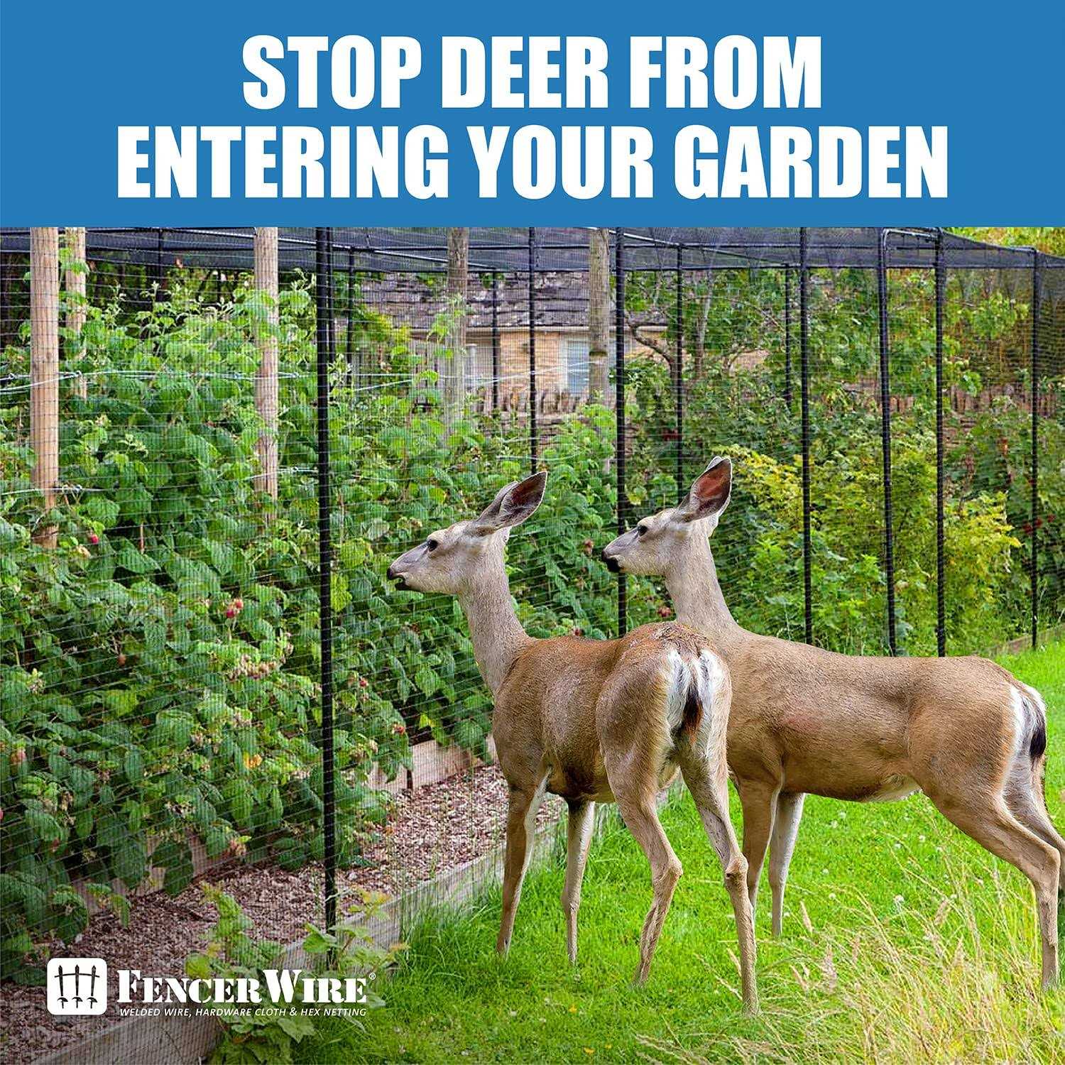 Fencer Wire 4 ft. x 50 ft. 10-Gauge Welded Wire Fence with Mesh 2 in. x 2 - Inhomebuy